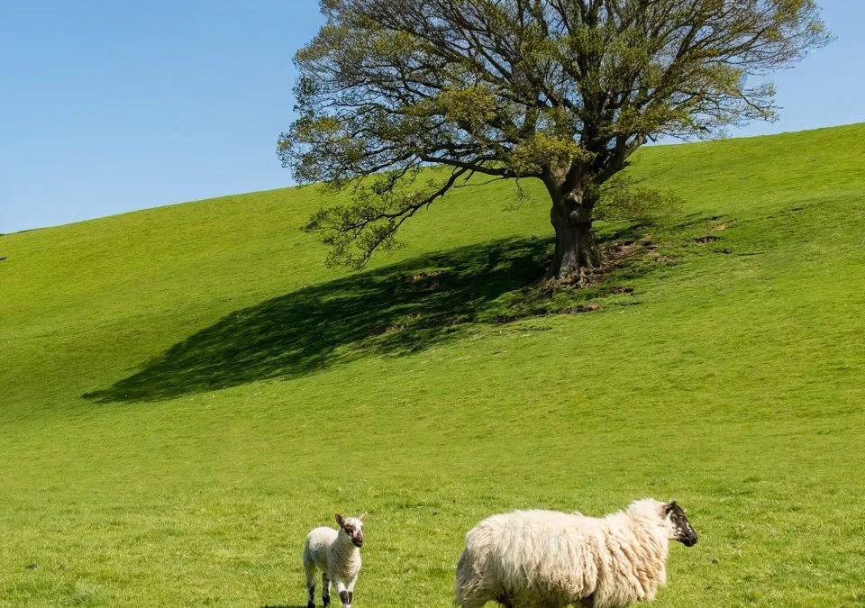 Countryfile